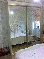 шкаф-купе 296