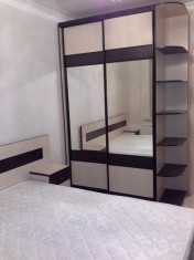 шкаф-купе 294